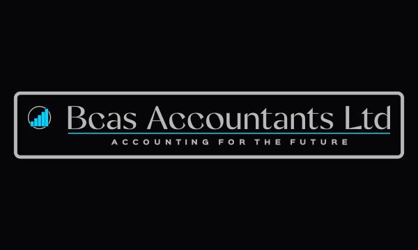 Bcas Accountants