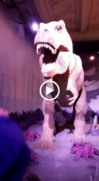 Driscoll Young Solicitors