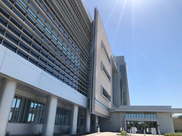 Law Office of Diane C. Bass