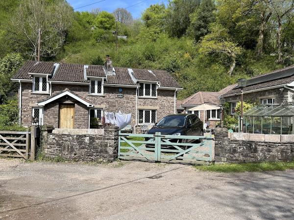 Will Planning Solutions