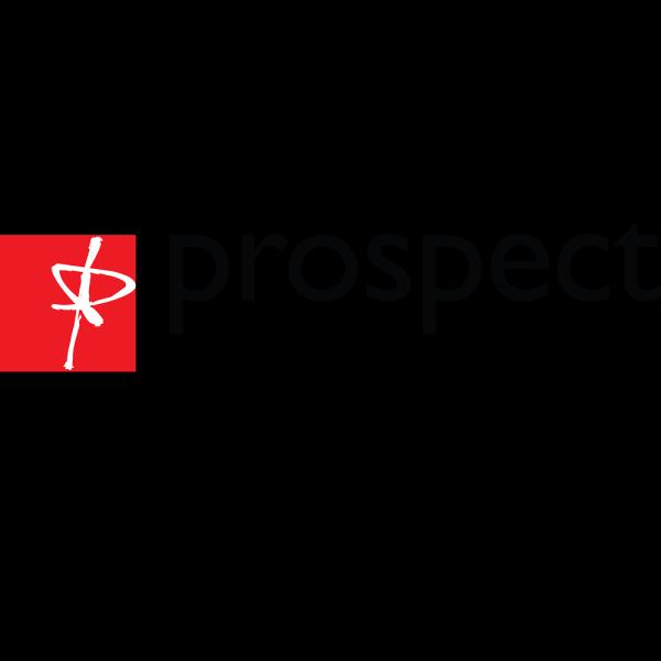 Prospect Chinese Services