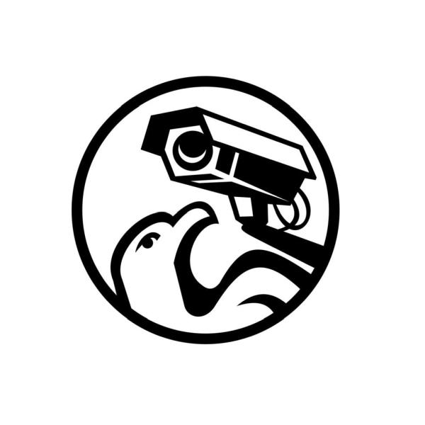 Eaglewatch Private Investigator