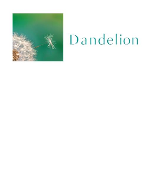 Dandelion Financial