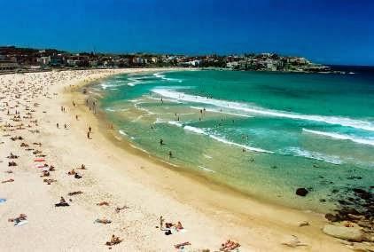 Commonwealth Immigration Consultants