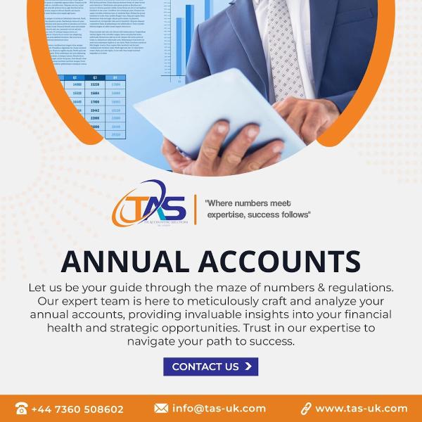 The Accounting Solutions