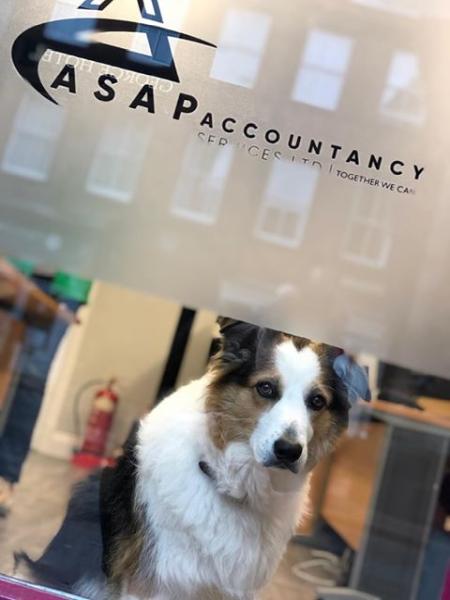 Asap Accountancy Services