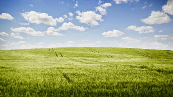 Shaun Hart Chartered Financial Planner