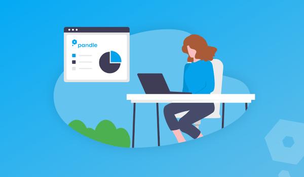 Pandle Accounting Software