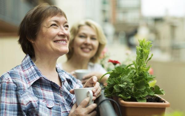 Ringrose Law Solicitors