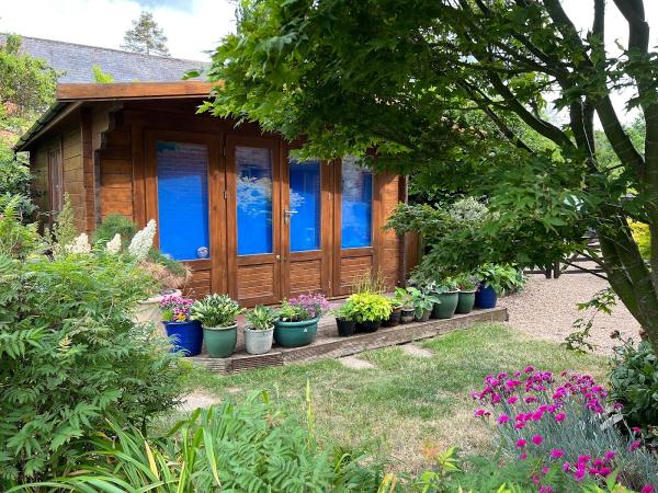 Dakota Blue Consulting