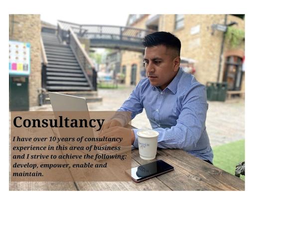 DL Business Consultancy