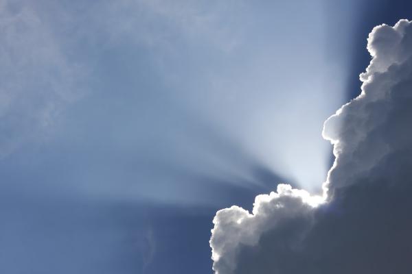 Delfinity Consulting