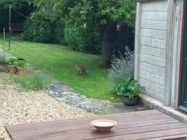 Lee Chapman Bookkeeping Services