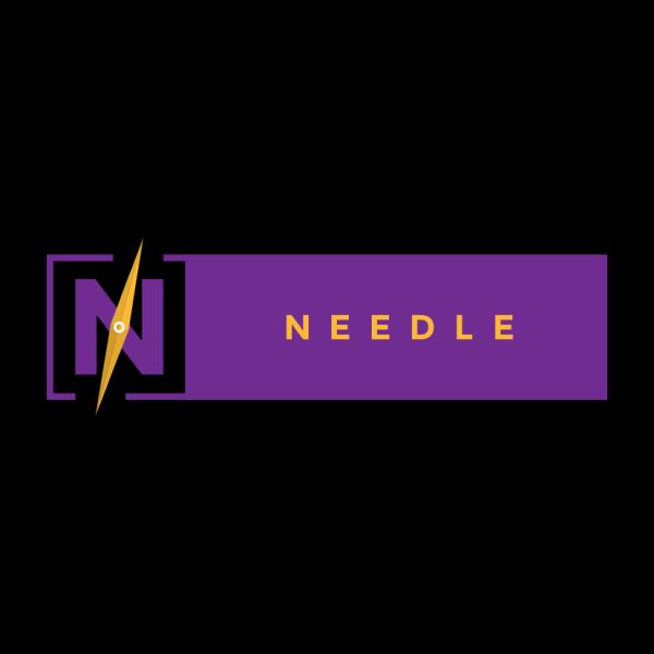 Needle Partners Law Firm