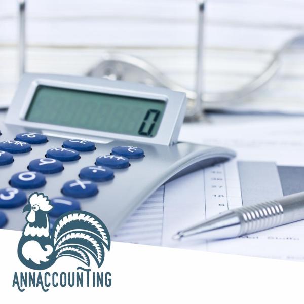 Ann Accounting