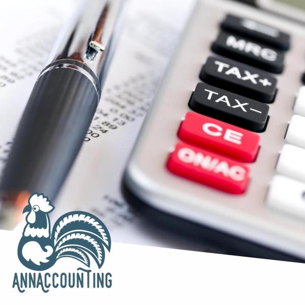 Ann Accounting