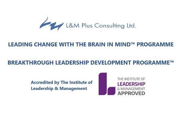 L&M Plus Consulting