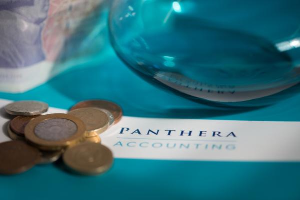 Panthera Accounting