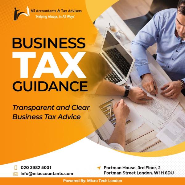 MI Accountants and Tax Advisers