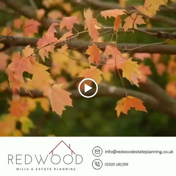 Redwood Wills & Estate Planning