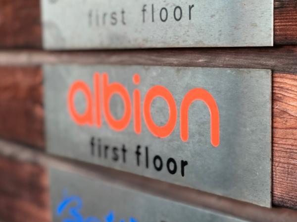 Albion Strategic Consulting