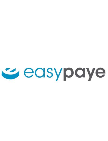 Easy Paye - Payroll Services