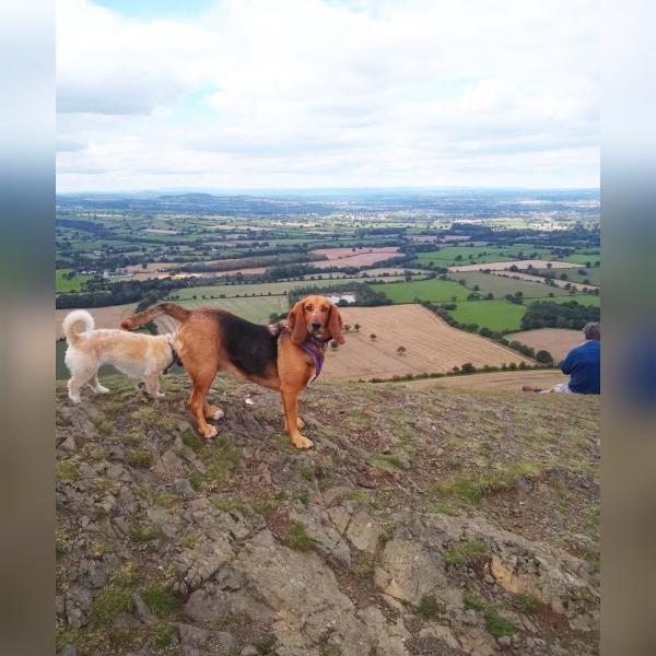 Matthews Legal - Solicitors and Mediators