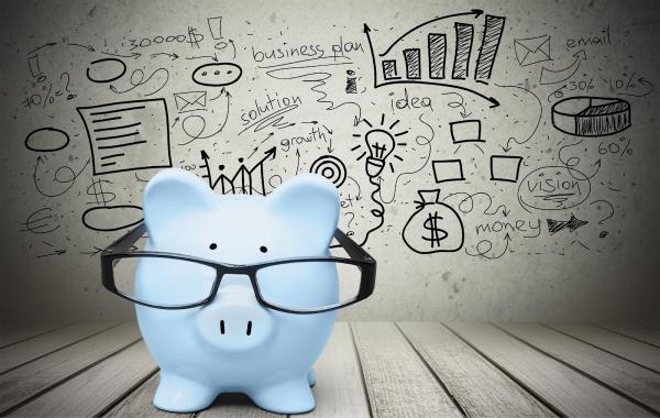 The Accounting Pig Limited