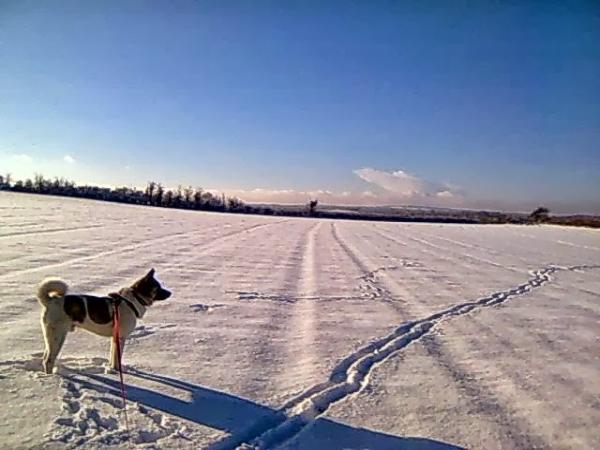 R. E. Froud & Associates