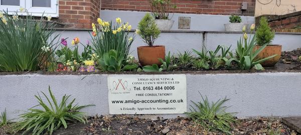 Amigo Accounting and Consultancy Services