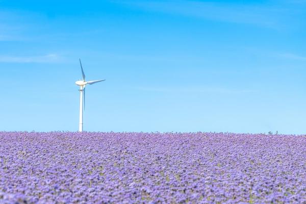 EJL Bookkeeping & Accounting