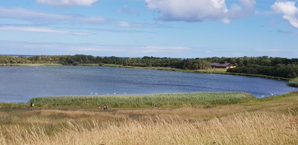 Tidycloud Accounting