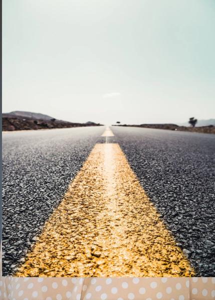 Maureen Adams Executive and Career Coaching