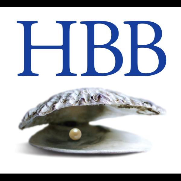 HBB Financial Limited