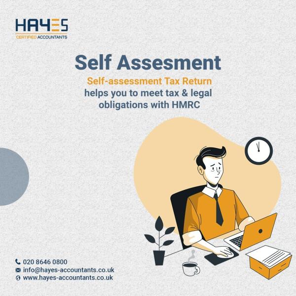 Hayes Chartered Certified Accountants and Tax Consultants