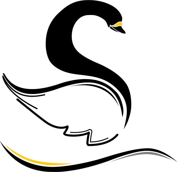 Black Swan Tax Advisers