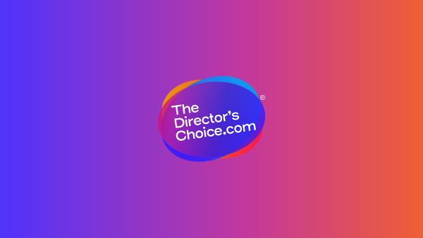 Thedirectorschoice.com