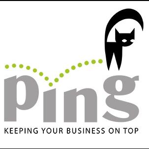 Ping Chartered Accountants