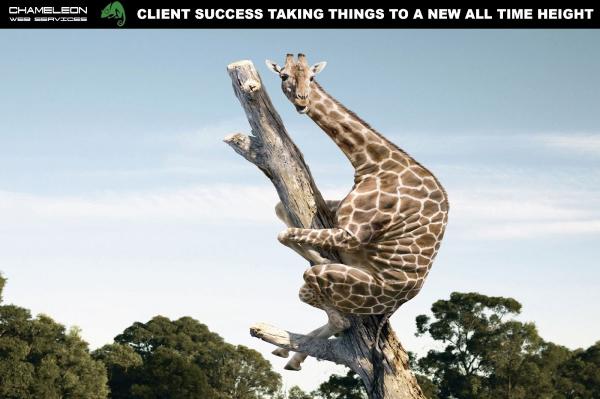 Ian Bevis Business Consultant