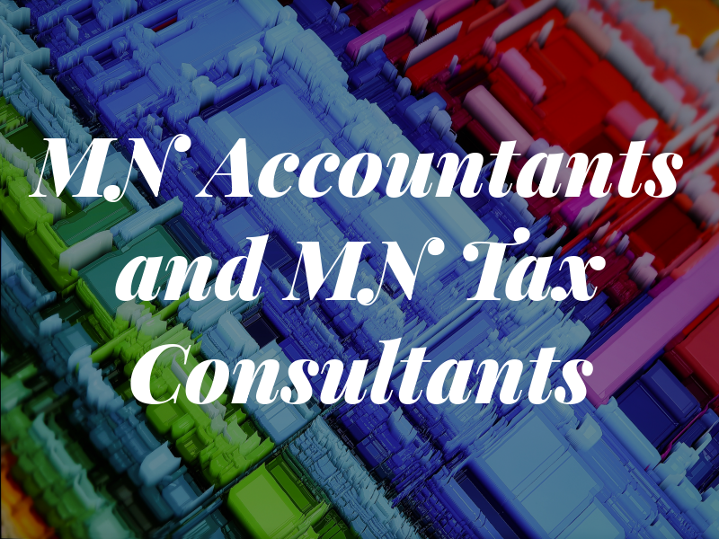 MN Accountants and MN Tax Consultants