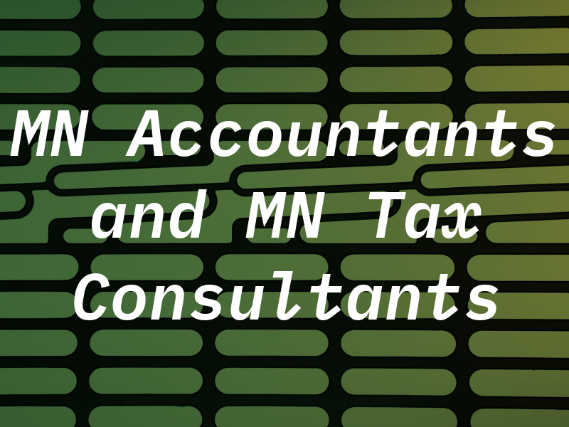 MN Accountants and MN Tax Consultants