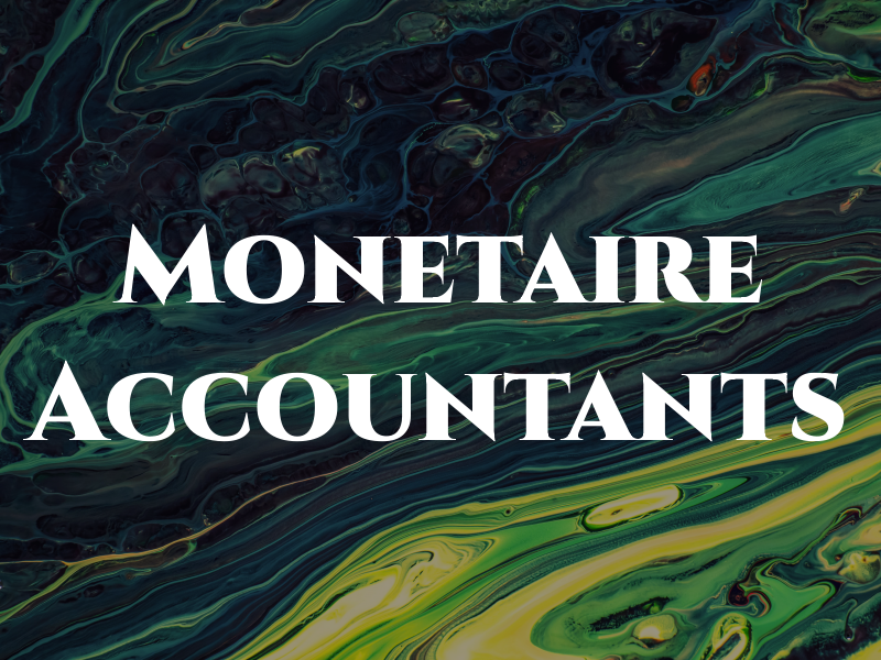 Monetaire Accountants