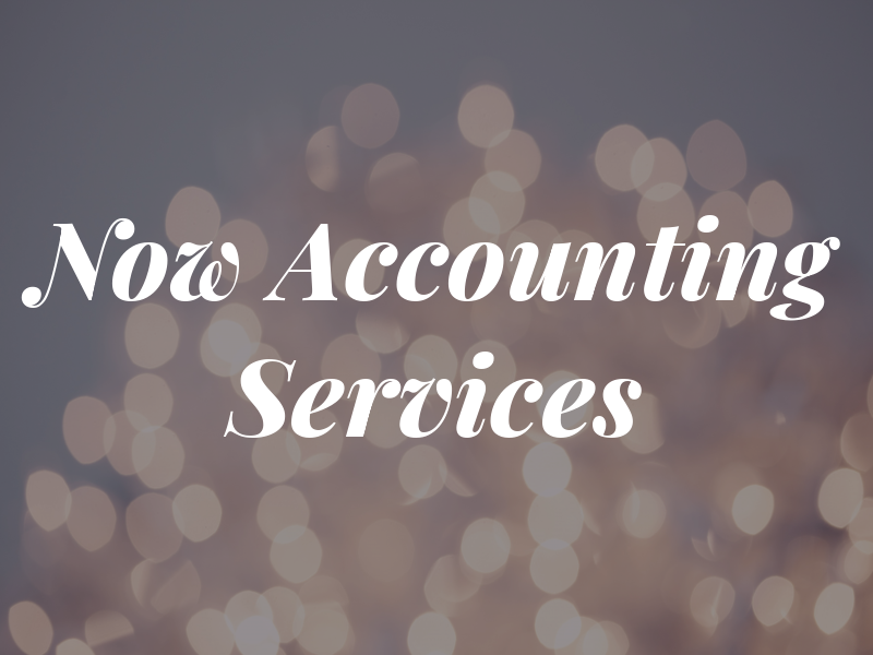 Now Accounting Services