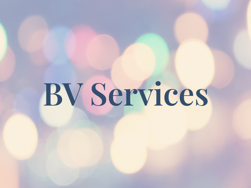 BV Services