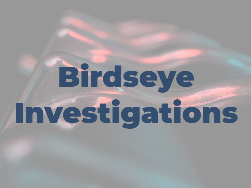 Birdseye Investigations
