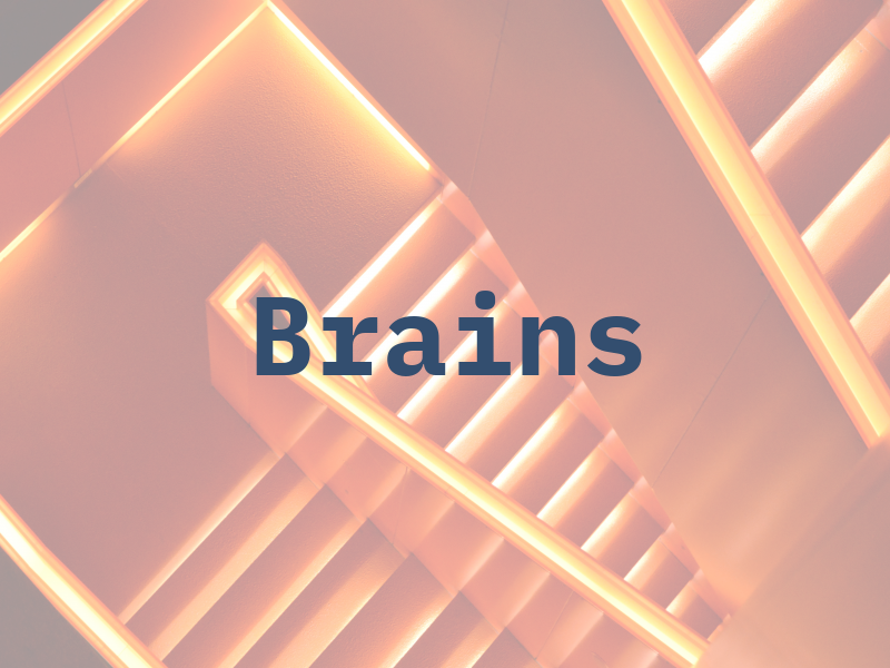 Brains