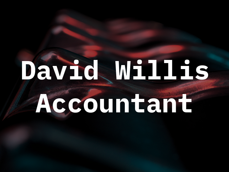 David G Willis - Accountant
