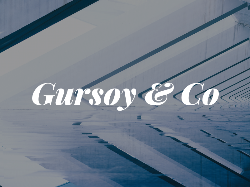 Gursoy & Co