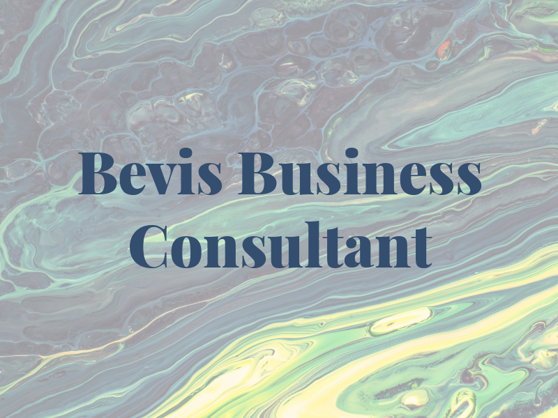 Ian Bevis Business Consultant