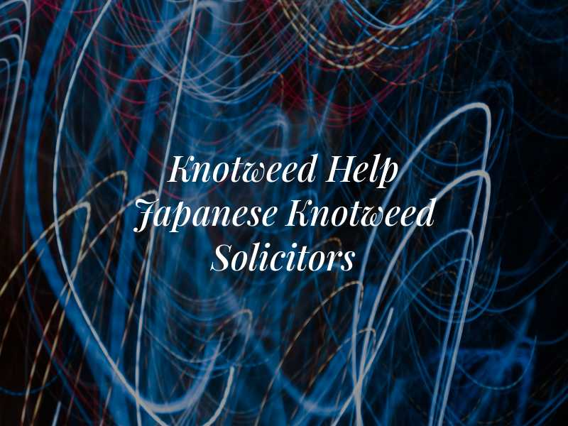 Knotweed Help - Japanese Knotweed Solicitors